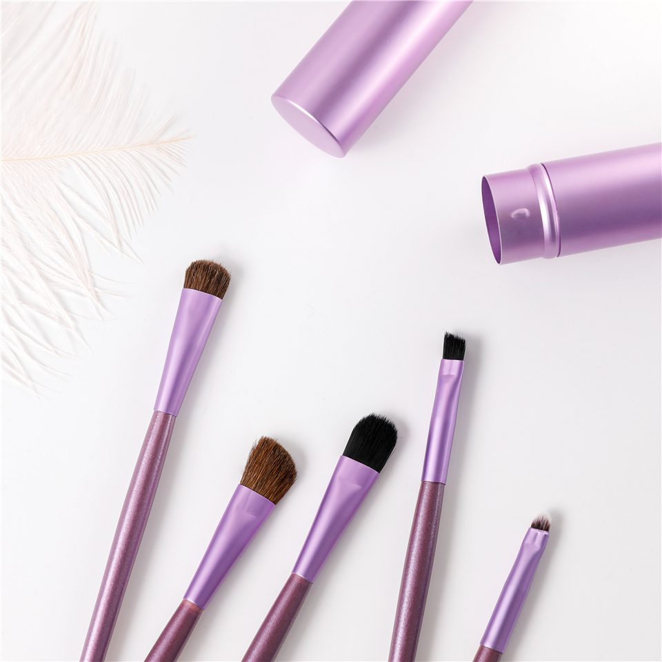 BBL 5pcs Travel Portable Mini Eye Makeup Brushes Set Smudge Eyeshadow Eyeliner Eyebrow Brush Lip Make Up Brush kit Professional