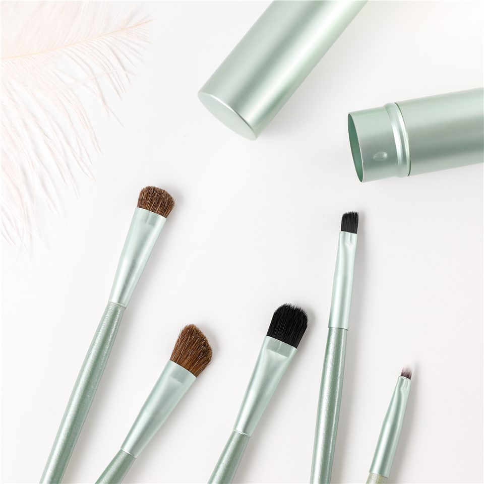 BBL 5pcs Travel Portable Mini Eye Makeup Brushes Set Smudge Eyeshadow Eyeliner Eyebrow Brush Lip Make Up Brush kit Professional