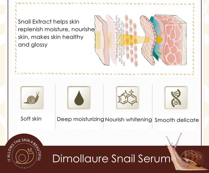 Dimollaure 30g pure Kojic Acid whitening cream+Kojic Acid serum Wrinkle removal Freckle melasma Acne scar pigmentt melanin cream