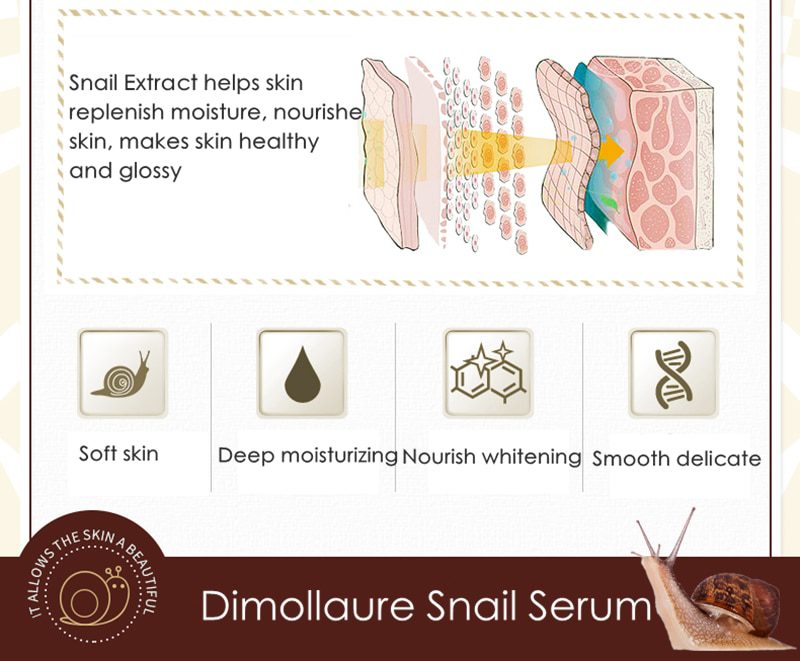 Dimollaure 30g pure Kojic Acid whitening cream+Snail Hyaluronic acid serum removal Acne scar pigmentt melanin Moisturizing serum