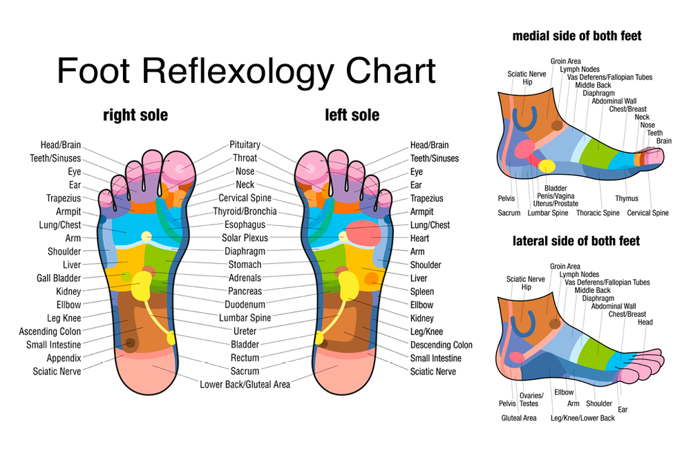 5 Raw Wooden Foot Roller Wood Care Massage Reflexology Relax Relief Massager Spa Gift Anti Cellulite Foot Massager