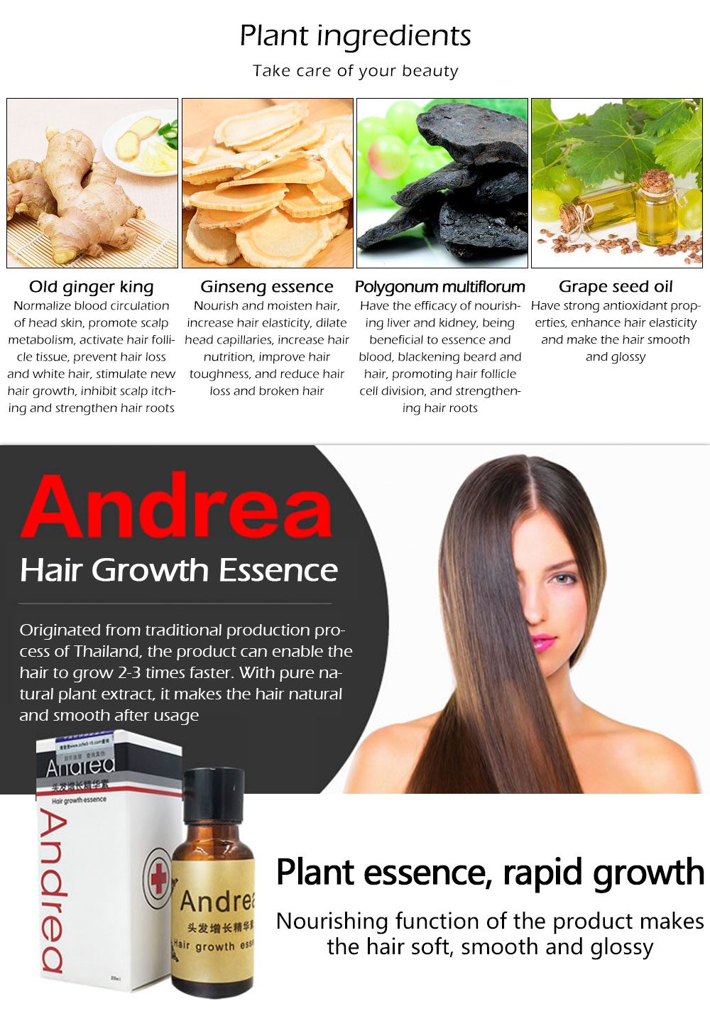 AMEIZII Andrea 20ml Ginger Extract Dense Hair Fast Sunburst Hair Growth Essence Restoration Hair Loss Liquid Serum Hair Care Oil AMEIZII Andrea 20ml Ginger Extract Dense Hair Fast Sunburst Hair Growth Essence Restoration Hair Loss Liquid Serum Hair Care Oil